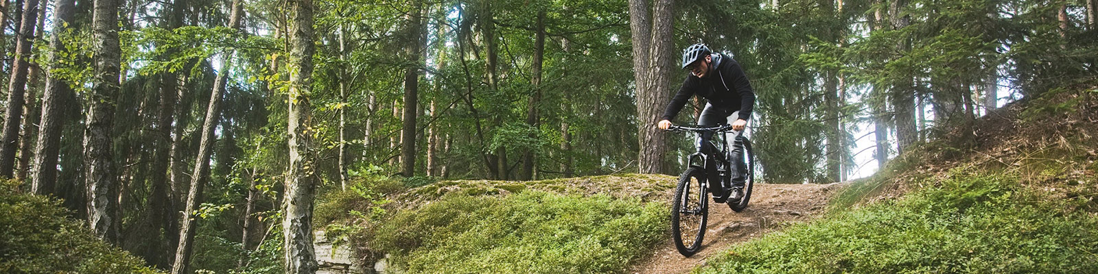 eMTB-kategorie-LEVIT
