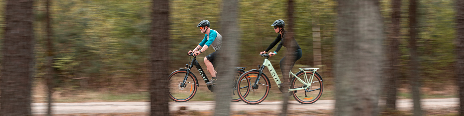 levit-ebikes-elektrokola-web-cover-2